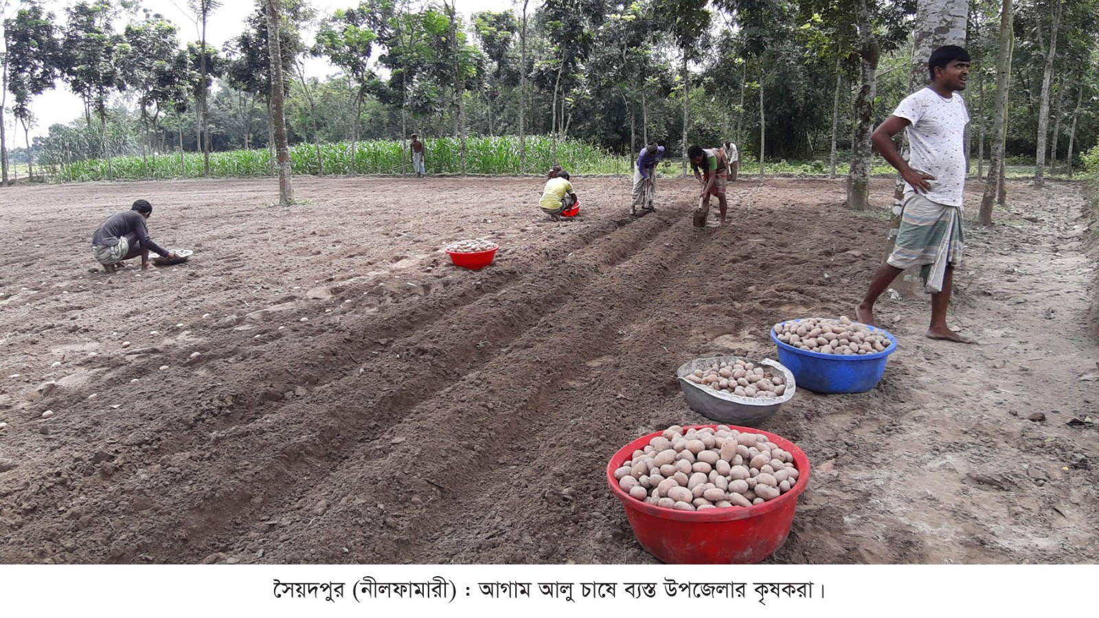 আগাম আলু-সবজি চাষে ব্যস্ত সৈয়দপুরের কৃষক